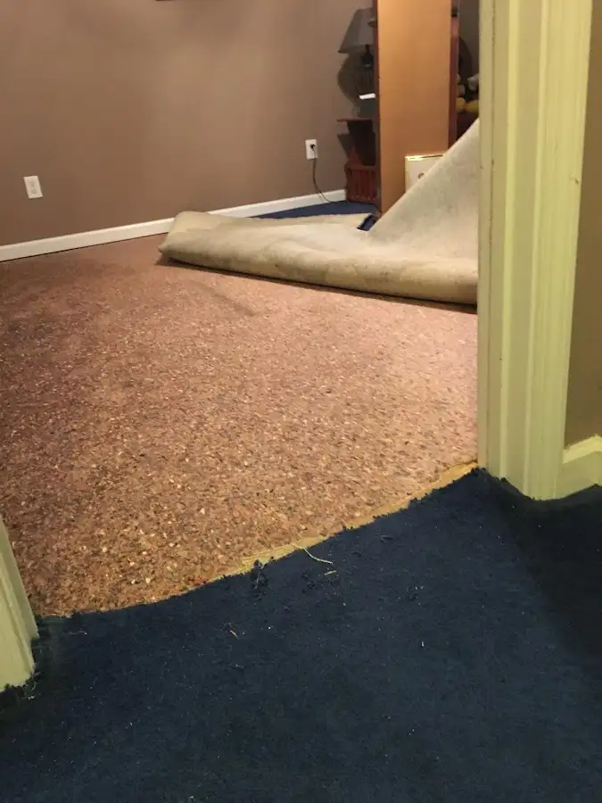 Carpet pad removal revealing water damage during Water Mitigation Services in Carlinville