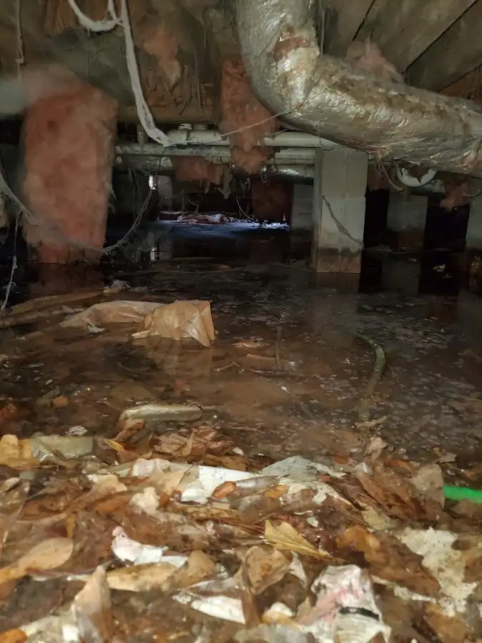 Crawl space flood assessment for Leak Detection & Repair in Carlinville